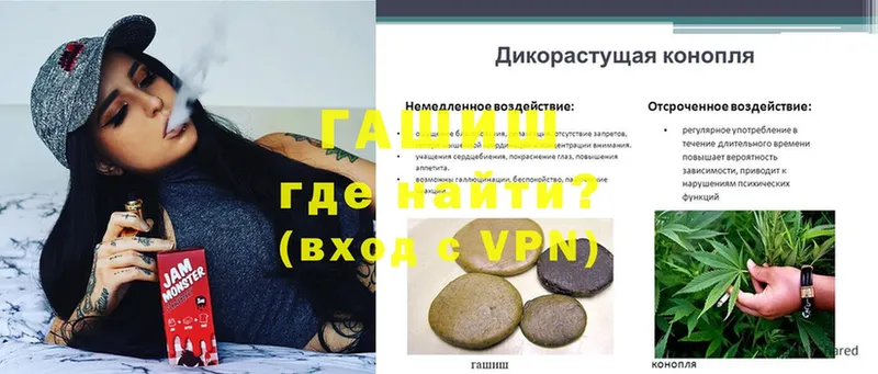 что такое   Данилов  Гашиш hashish 